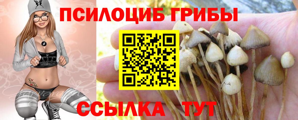 Нефтеюганск  Галлюциногенные грибы Psilocybine cubensis  Псилоцибиновые грибы Magic Shrooms  Вход с VPN 