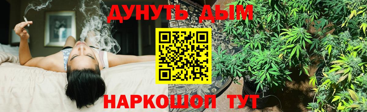 Конопля сатива Нефтеюганск